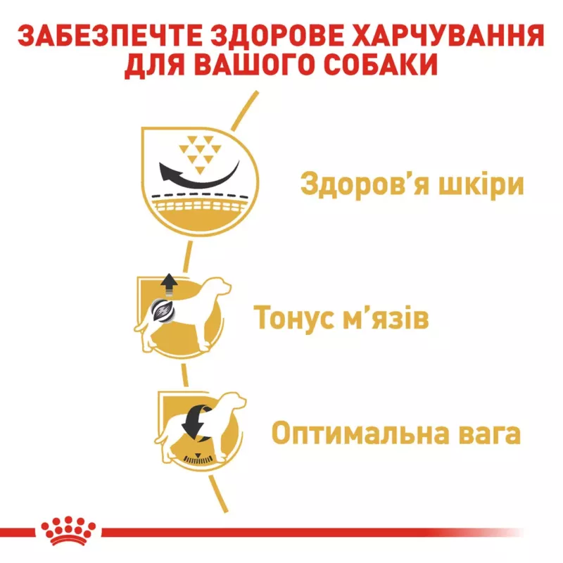 brit care adult medium breed lamb & rice